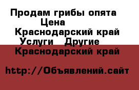 Продам грибы опята › Цена ­ 150 - Краснодарский край Услуги » Другие   . Краснодарский край